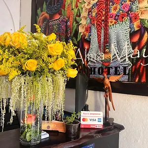  Hotel Alma Maya